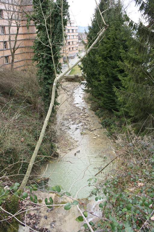 Klausm__hlebach Balkensperre AA 2014 _10_.jpg