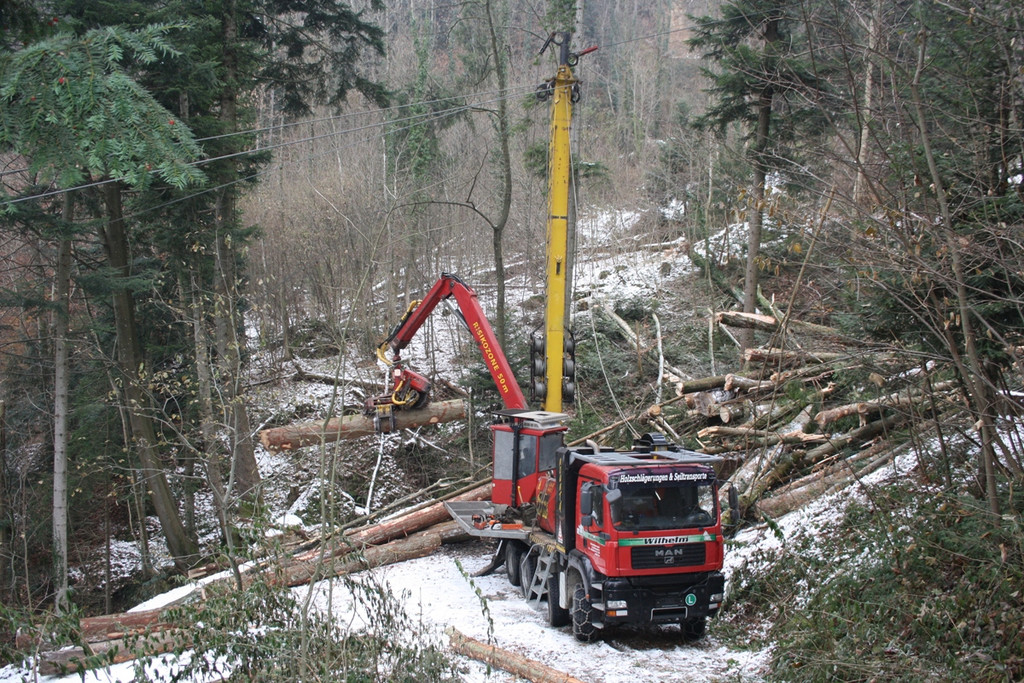 Klausm__hlebach Waldr__umung ARBEIT _1_.jpg