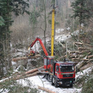 Klausm__hlebach Waldr__umung ARBEIT _1_.jpg