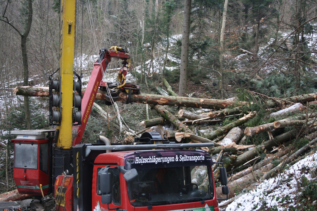 Klausm__hlebach Waldr__umung ARBEIT _2_.jpg