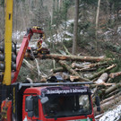 Klausm__hlebach Waldr__umung ARBEIT _2_.jpg