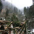 Klausm__hlebach Waldr__umung ARBEIT _5_.jpg