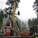 Klausm__hlebach Waldr__umung ARBEIT _7_.jpg