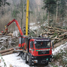 Klausm__hlebach Waldr__umung ARBEIT _11_.jpg