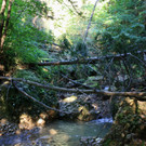 Klausm__hlebach Waldr__umung 2013 _1_.jpg