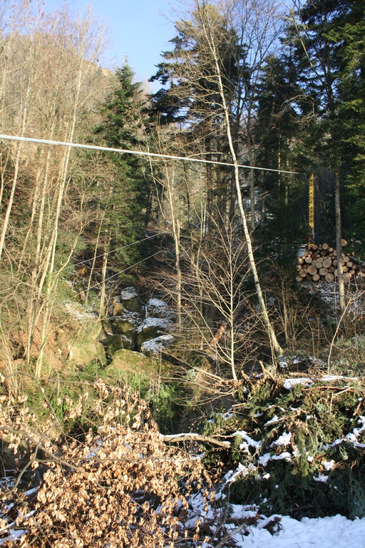 Klausm__hlebach Waldr__umung ARBEIT _10_.jpg