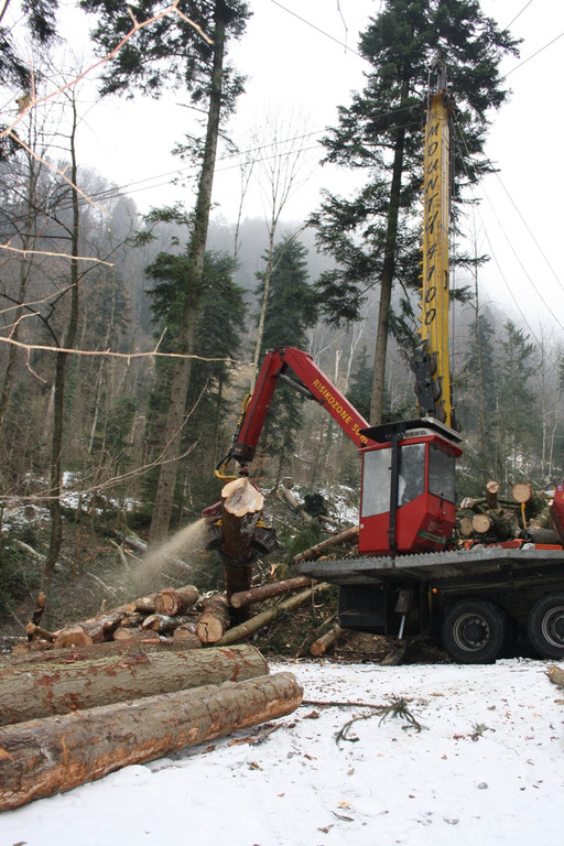 Klausm__hlebach Waldr__umung ARBEIT _8_.jpg