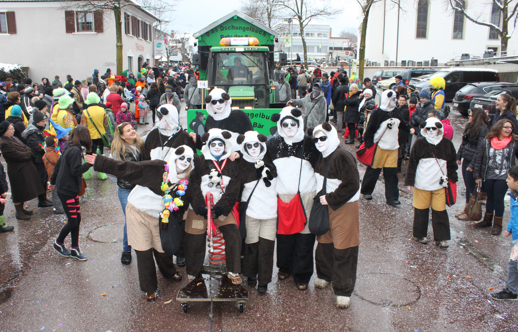 Lochau Fasching UMZUG 2014 TERMIN _15_.jpg
