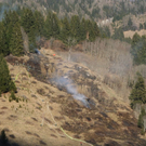 normal_060410waldbrandgmaktivnews_20_1_.jpg