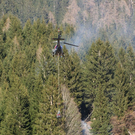 normal_060410waldbrandgmaktivnews_20_11_.jpg