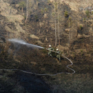 normal_060410waldbrandgmaktivnews_20_12_.jpg