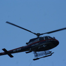 normal_060410waldbrandgmaktivnews_20_19_.jpg