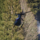 normal_060410waldbrandgmaktivnews_20_24_.jpg