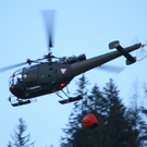 normal_060410waldbrandgmaktivnews_20_26_.jpg