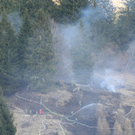 normal_060410waldbrandgmaktivnews_20_35_.jpg