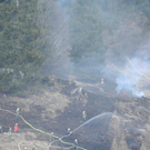 normal_060410waldbrandgmaktivnews_20_36_.jpg