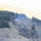 normal_060410waldbrandgmaktivnews_20_39_.jpg