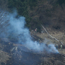 normal_060410waldbrandgmaktivnews_20_49_.jpg