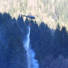 normal_060410waldbrandgmaktivnews_20_50_.jpg