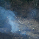 normal_060410waldbrandgmaktivnews_20_51_.jpg