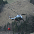 normal_060410waldbrandgmaktivnews_20_56_.jpg