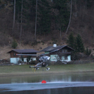 normal_060410waldbrandgmaktivnews_20_59_.jpg