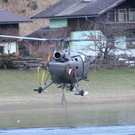 normal_060410waldbrandgmaktivnews_20_61_.jpg