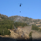 normal_060410waldbrandgmaktivnews_20_8_.jpg