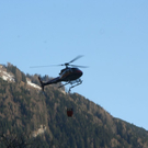normal_060410waldbrandgmaktivnews.jpg