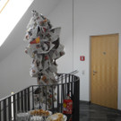 DSCN0321.JPG