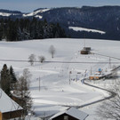 DSC07520.JPG