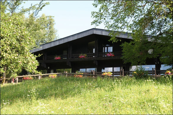 HK_amerl__gen _4_.jpg