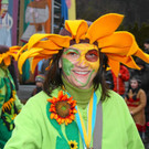 13491917.jpg