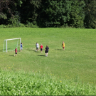 HK_amerl__gen _9_.jpg