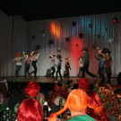 mini-IMG_7342.JPG