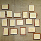 KUB tayou er__ffnung 1-363.JPG