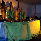 DSC00657_jpg-1270628381