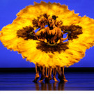 a_momix_botanica_botanica_8__sunflower_fans__cami_einzelnverwendbar.jpg