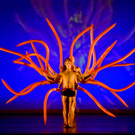 momix_botanica_03.jpg