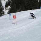 Bilder