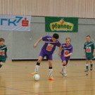 P2190041.JPG