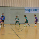 P2190045.JPG