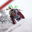 Bilder zum Martini Niedere Lauf