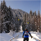 20130223_hahnenk_195_luc.JPG