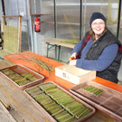 KOE_Buerocontainer Sunnahof 4.jpg