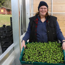 KOE_Buerocontainer Sunnahof 7.jpg