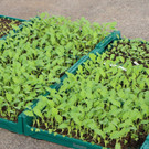 KOE_Buerocontainer Sunnahof 12.jpg