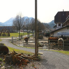 KOE_Buerocontainer Sunnahof 16.jpg