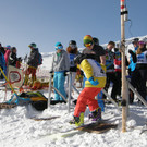 Snowboard- und Skicross Landesmeisterschaft
