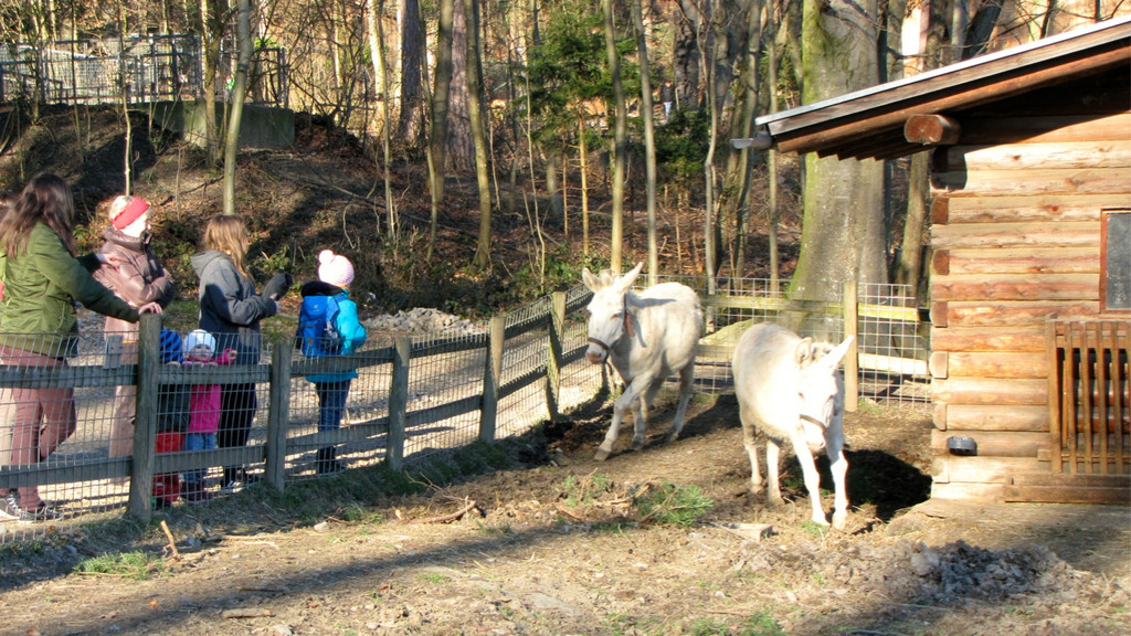 KOE_Wildpark 2014-02 5.jpg